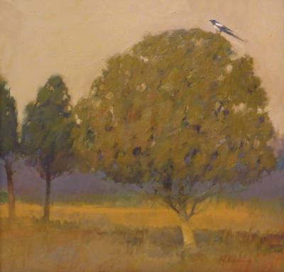 <br><b>Magpies and Cedars</b>